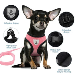 Adjustable Cat Harness Vest with Leash – Comfortable Mesh Dog Harness for Small & Medium Dogs and Kittens