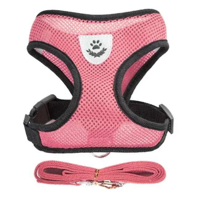 Adjustable Cat Harness Vest with Leash – Comfortable Mesh Dog Harness for Small & Medium Dogs and Kittens